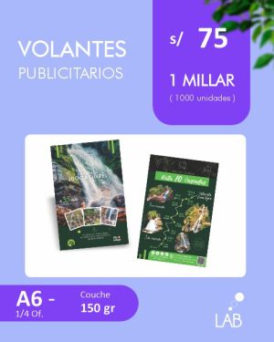Volante Publicitario A6 x 1000
